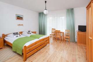 Курортные отели Siedlisko Harenda Чарна Двухместный номер с 1 кроватью или 2 отдельными кроватями-9